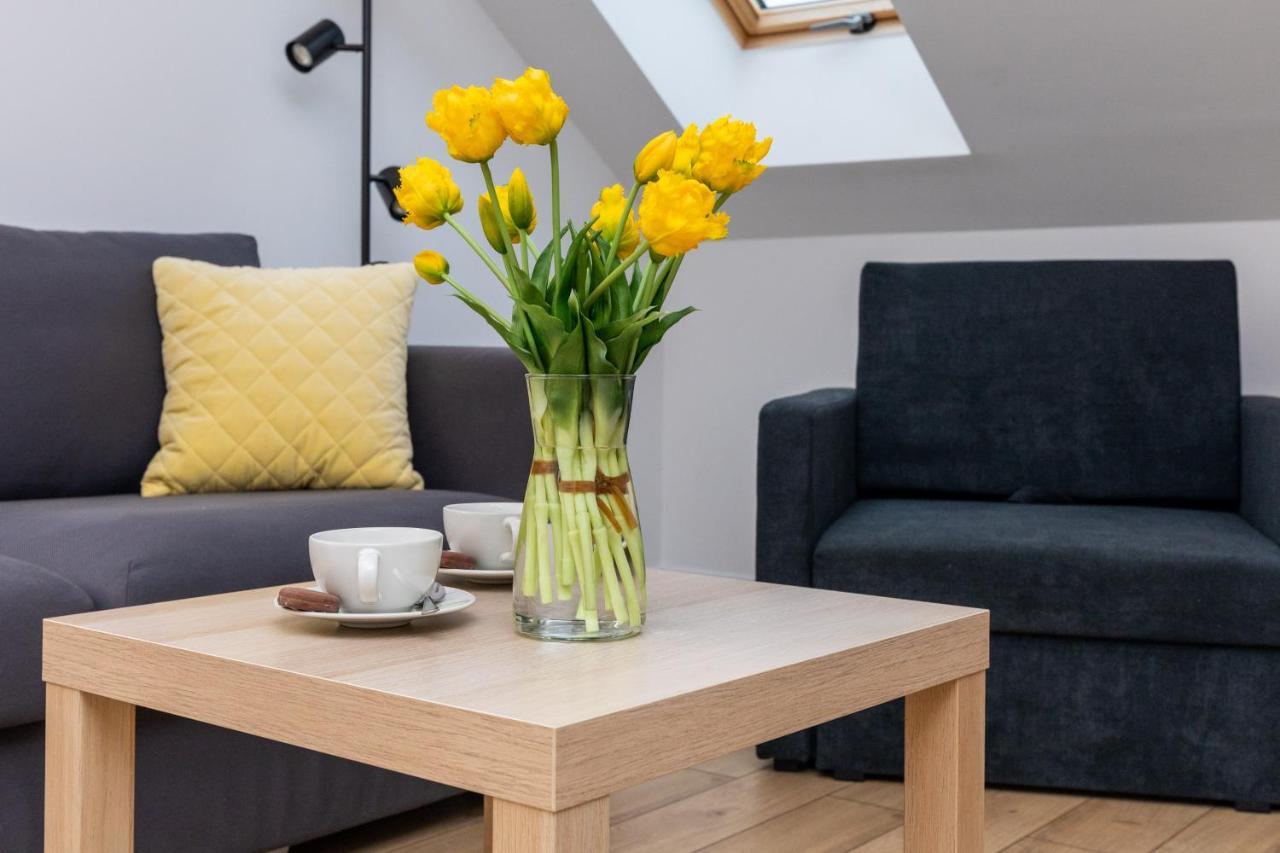 Apartamenty Morskie Oko By Noclegi Renters 米兹多洛杰 外观 照片